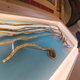 Illustration for article titled After Growing Worlds Longest Nails Out of Spite, Man Sells 30-Foot Talons for Enough to Retire On